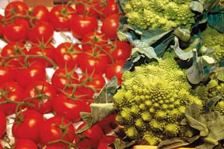 vegetables