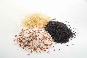 rice