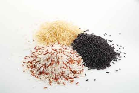 rice