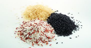 Italian rice is ‘on the rise’ in Uk