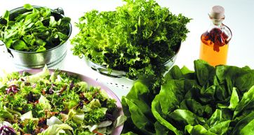 Why brits like vegetarian products?