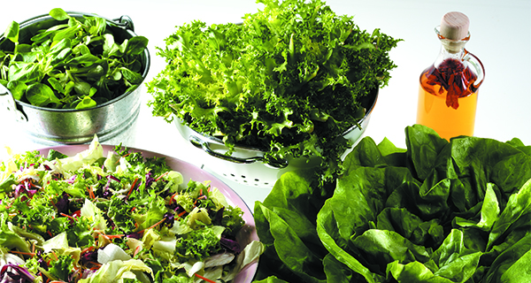 Why brits like vegetarian products?