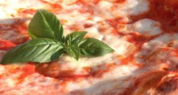 Why consumers are driving towards vegetarian products?