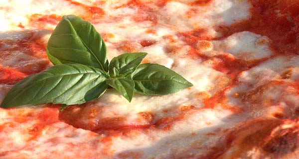 Why consumers are driving towards vegetarian products?