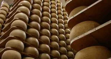 Grana Padano, the ambassador of healthy food