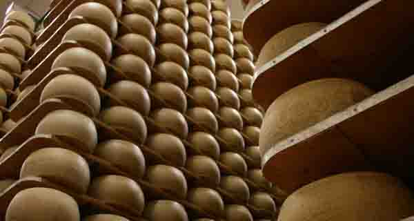 Grana Padano, the ambassador of healthy food