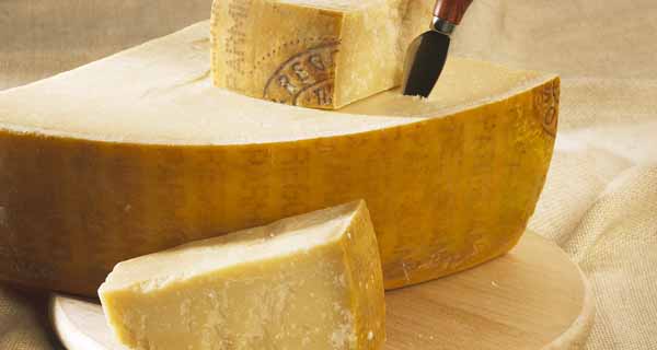 Italian cheese industry, the reaction to the Russian embargo