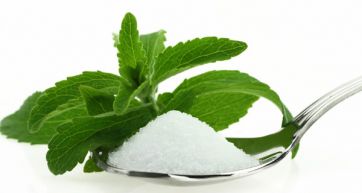 Stevia