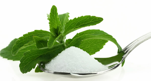 Stevia