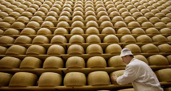 hard cheese