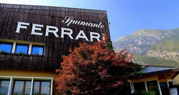 Ferrari wines take off with Alitalia Airline