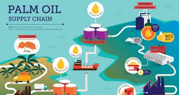 Sustainable palm oil: the target is 100% in Europe