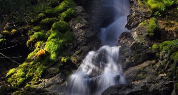 De Cecco’s natural spring water