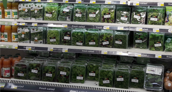Success in the Arab Emirates for Solarelli’s salads