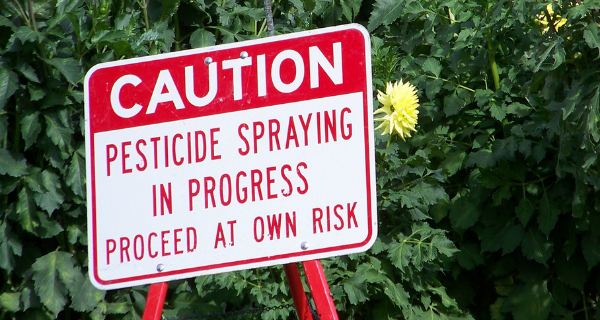 Why Italian Food is safer