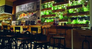 NEW RESTAURANTS OPENINGS, BARILLA GOES TO HOLLYWOOD
