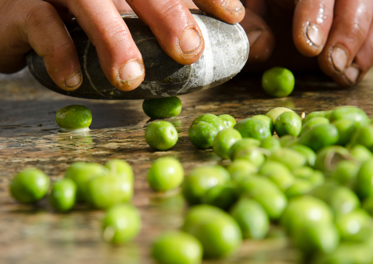 olive oil