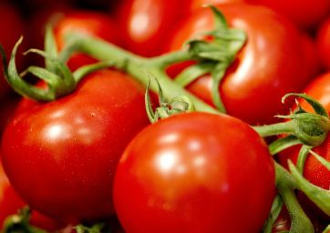 Tomato, it’s time for the labeling of origin