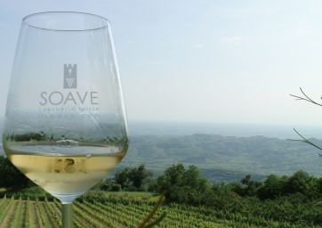 Soave-italian wine-Verona-Garganega