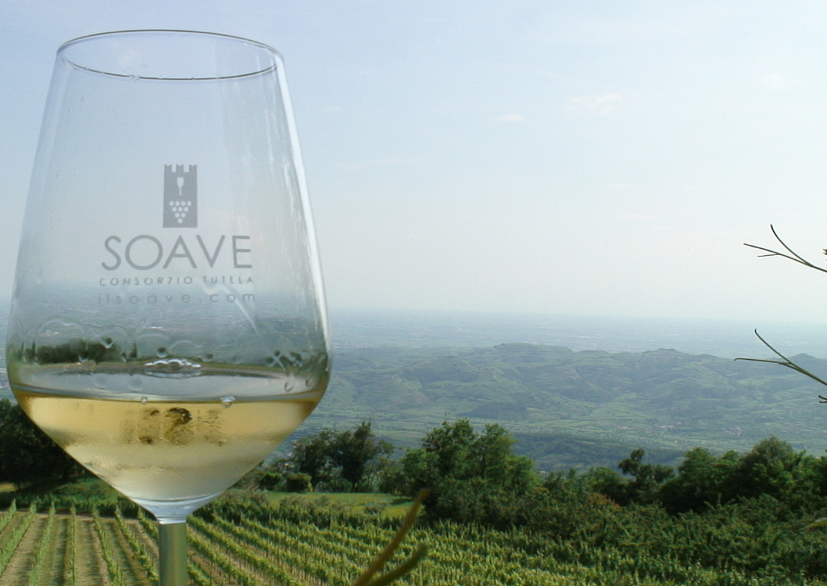 Soave-italian wine-Verona-Garganega
