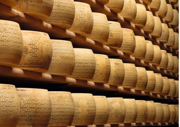 cheese-Parmigiano Reggiano-Grana Padano