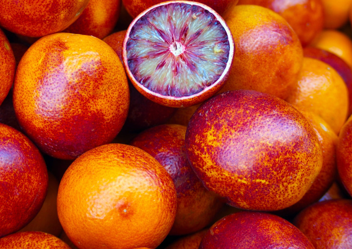 arance rosse-Sicily's red oranges-Alibaba