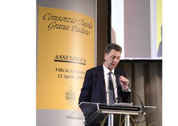 Grana Padano