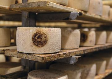 cheeses