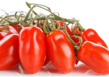 Tomato