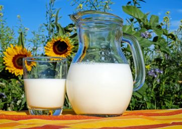 milk