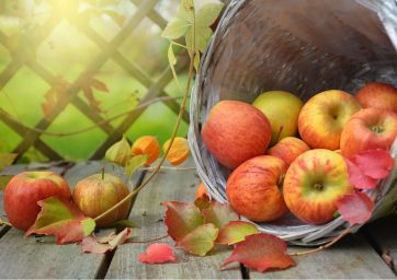 apples