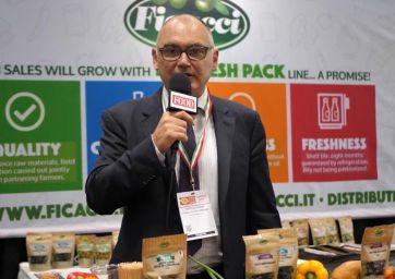 Ficacci: Olives Creating Italian Antipasto