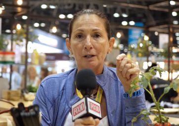 Pavilions: Focus on Customer Experience