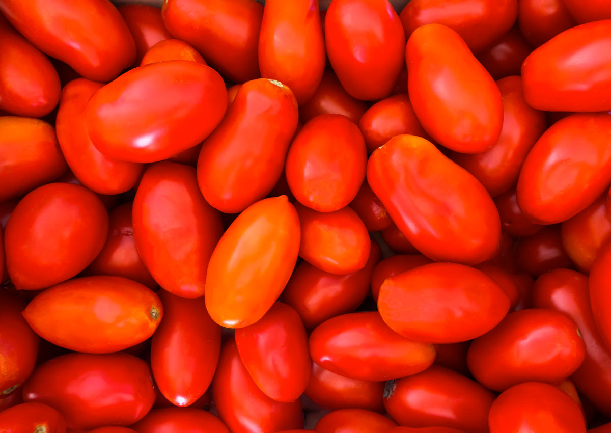 Palo, Specializing in San Marzano PDO Tomato