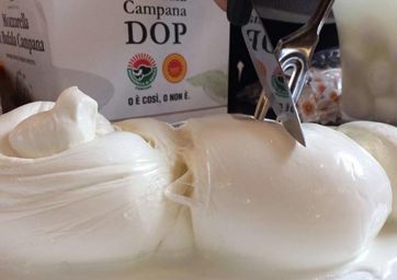 mozzarella