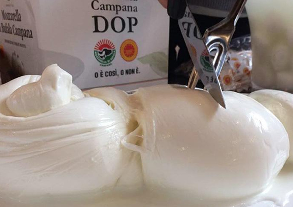 mozzarella