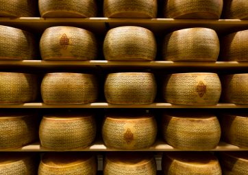 Grana Padano PDO