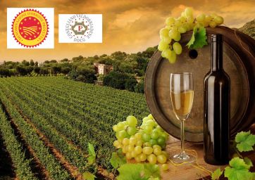 Prosecco-PDO-Conegliano Valdobbiadene Prosecco PDO