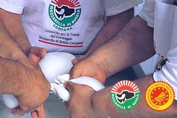 Mozzarella di Bufala Campana PDO-Buffalo Mozzarella