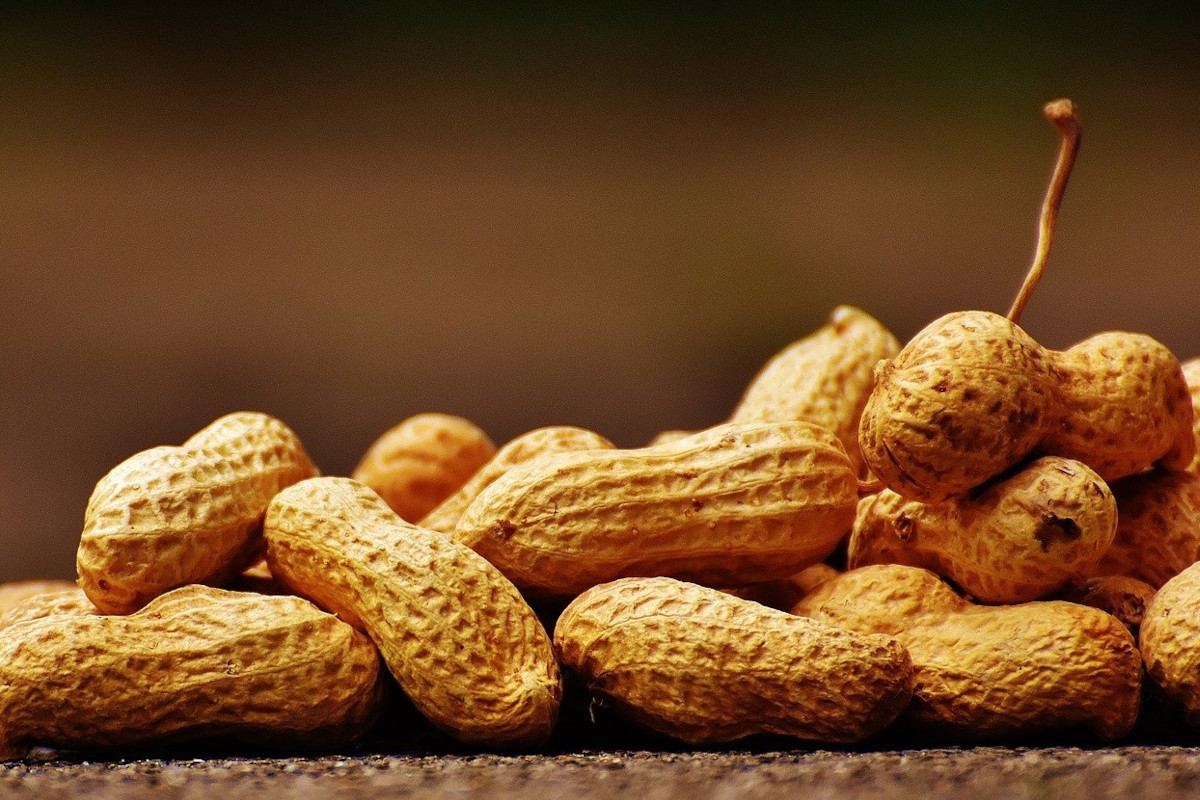 peanuts