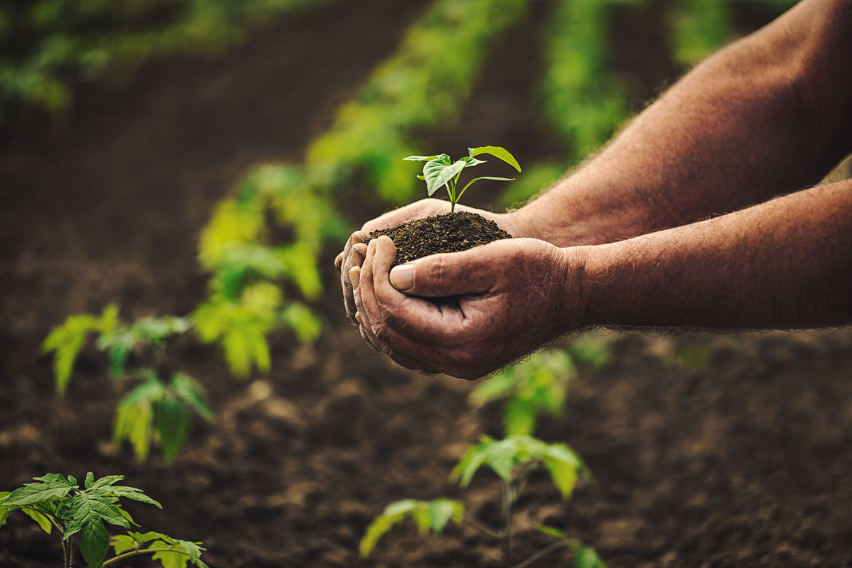 organic-food-organic-bio