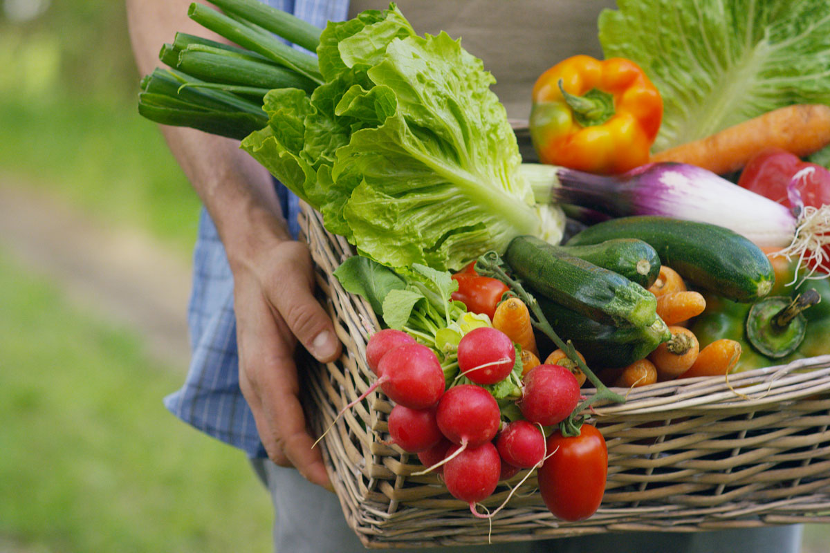 organic-food