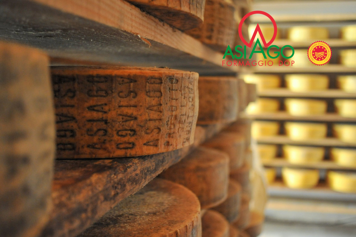 Asiago PDO-Chile-New Zealand