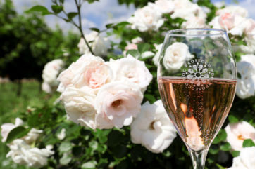 Prosecco DOC