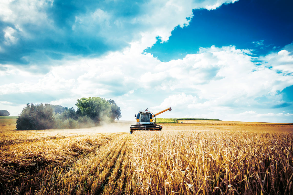 food agriculture-supply chain