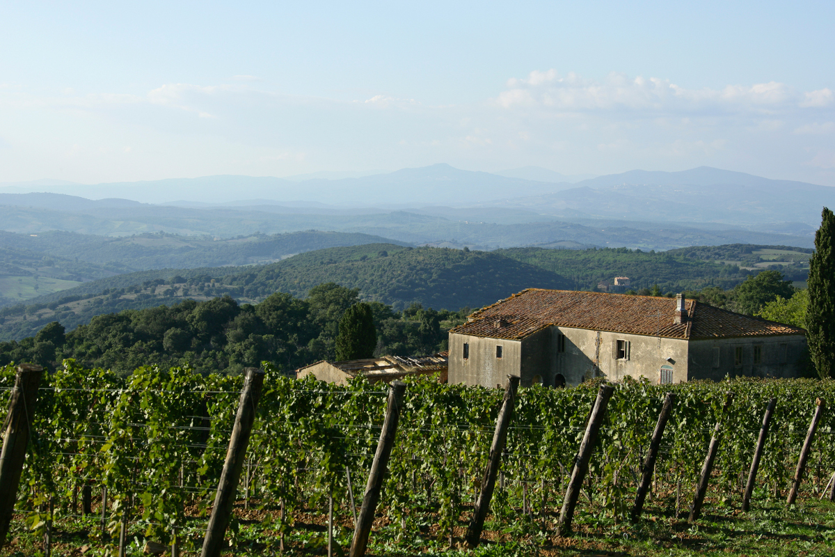 Montecucco-wine