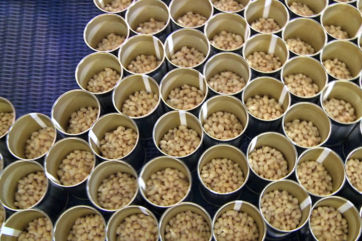 legumes-pulses-ANICAV-Expo Dubai
