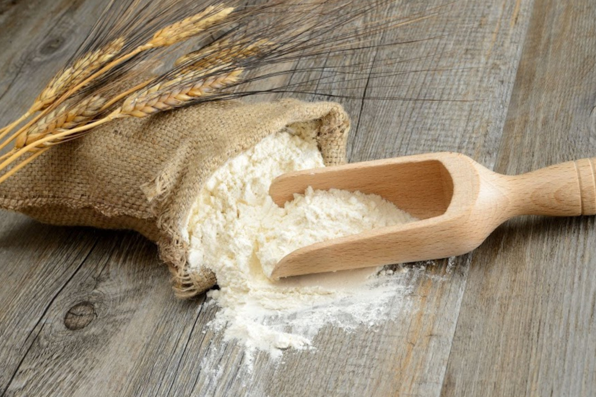 flours-Flour-Italmopa-ITALMOPA