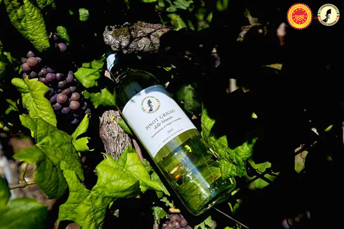 Pinot Grigio delle Venezie PDO