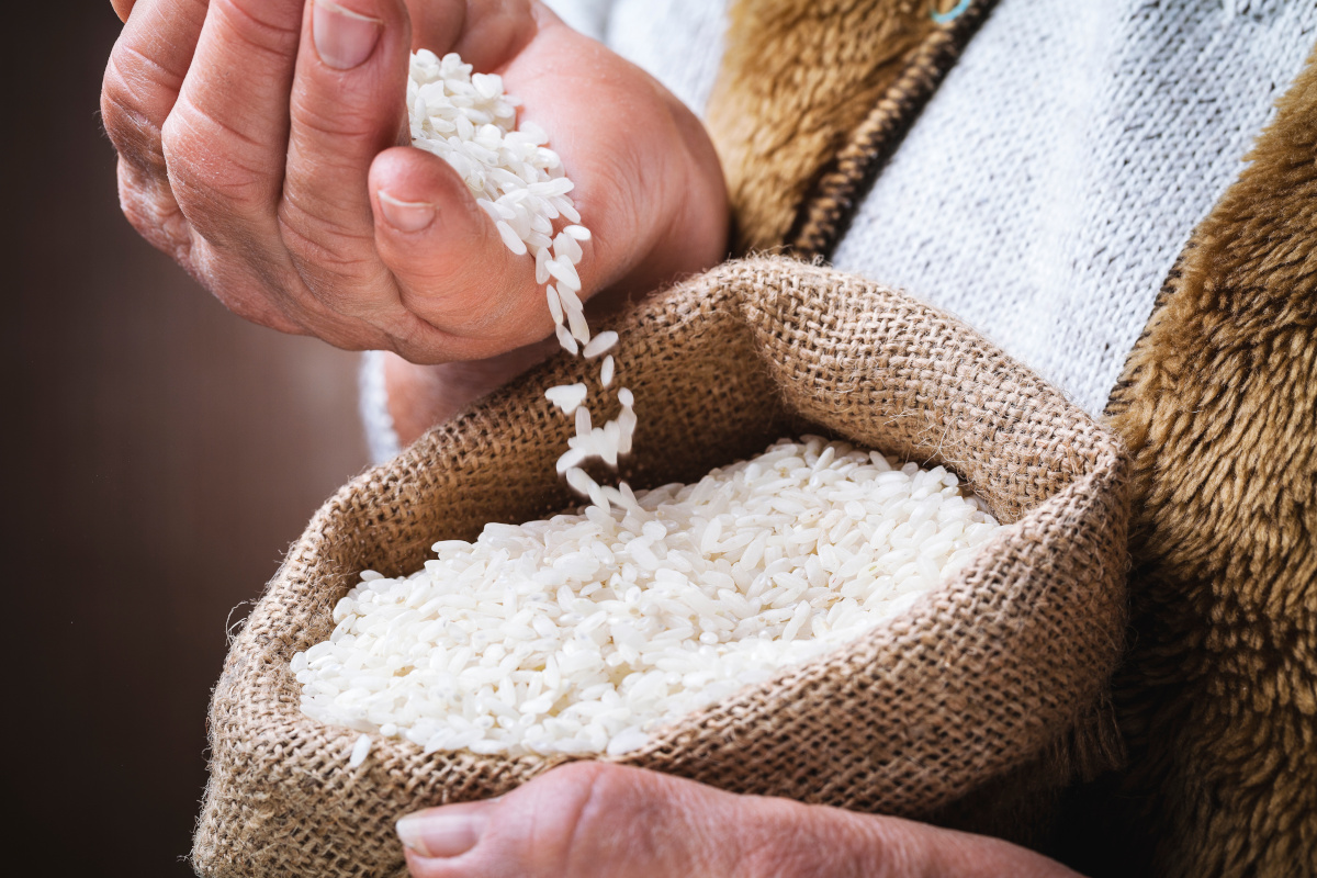 rice-Piedmont